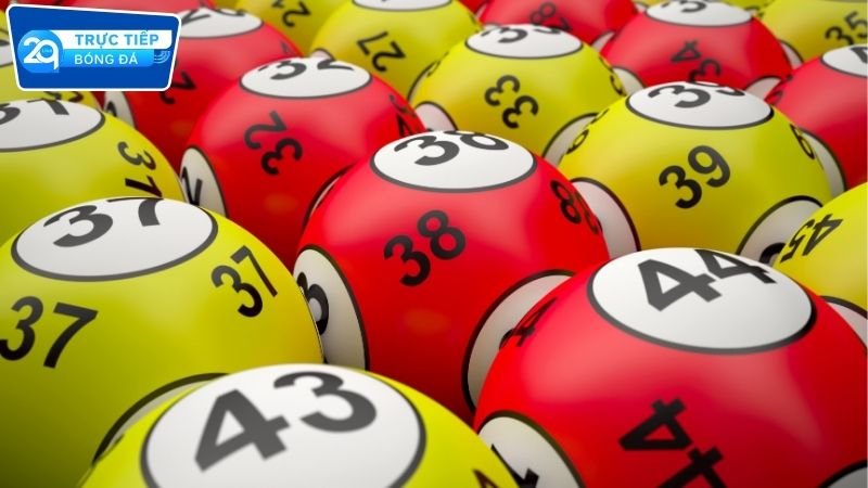 Tra cứu kết quả xổ số mỗi ngày