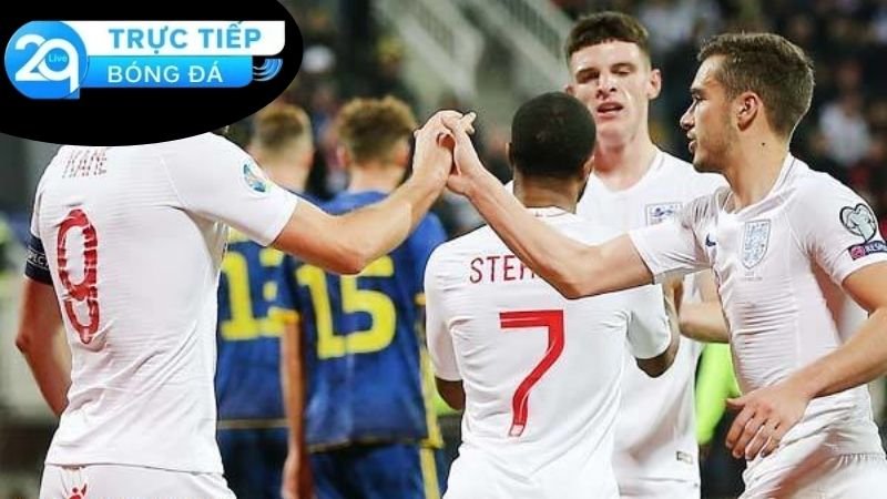 Giới thiệu chung về Dabong.net