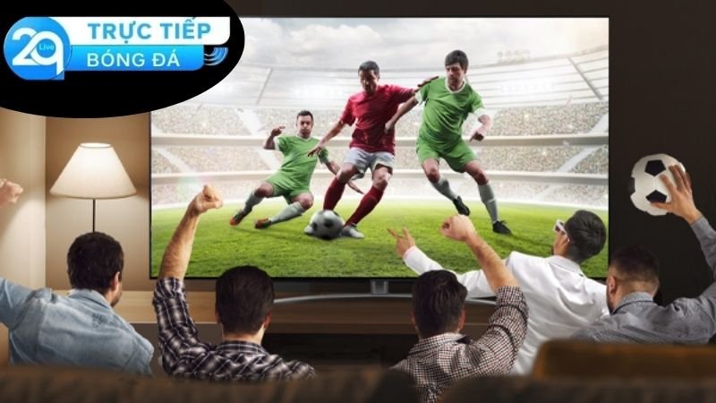 Chất lượng dịch vụ và trải nghiệm người dùng trên Dabong.net