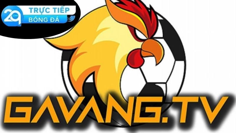 Gà Vàng TV - Cổng Thông Tin Thể Thao Hàng Đầu Việt Nam 2 Giới thiệu về Gà Vàng TV