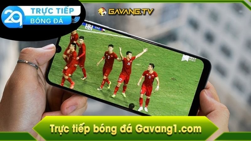 Gà Vàng TV - Cổng Thông Tin Thể Thao Hàng Đầu Việt Nam 4 Mở rộng không gian xem thể thao và các hoạt động liên quan