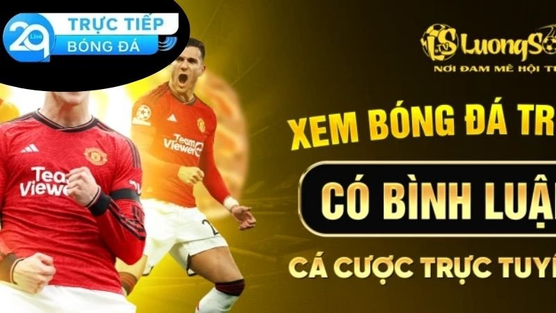 Chất lượng phục vụ và trải nghiệm của cộng đồng người dùng