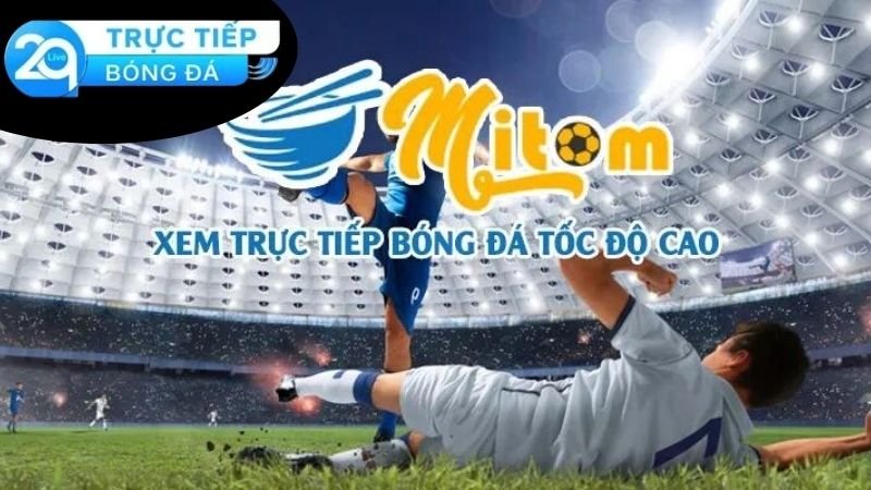 mitom-tv