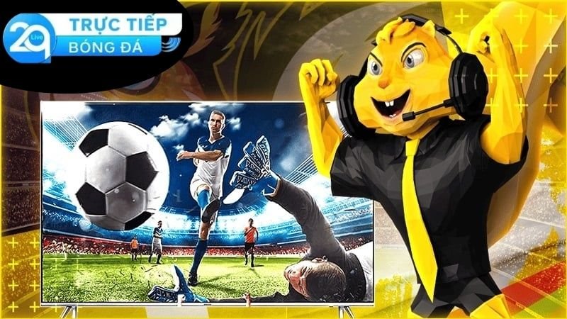 Giới thiệu chung về Socolive