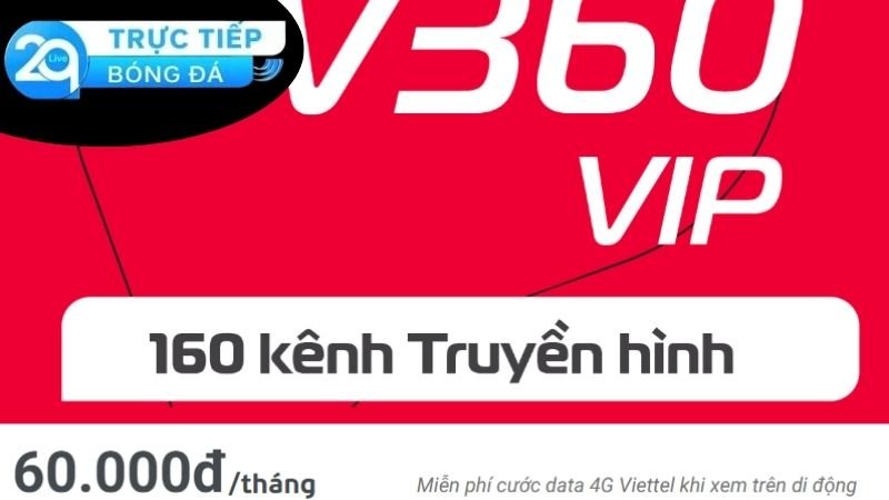 tv360