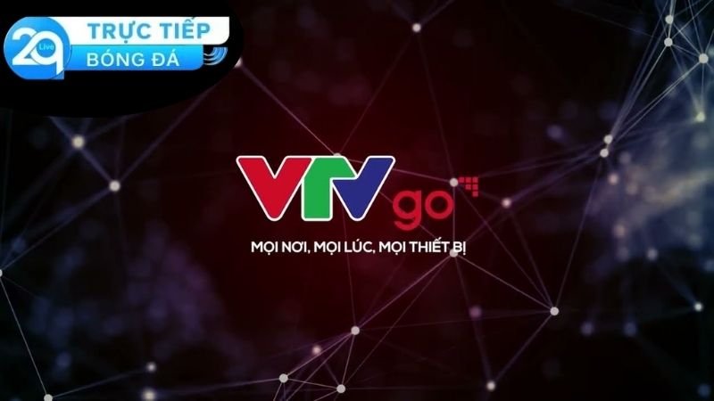 vtv-go