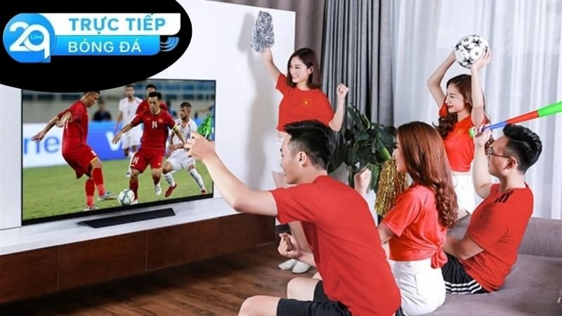 Nền tảng và website hàng đầu để xem bóng đá HD miễn phí và trả phí