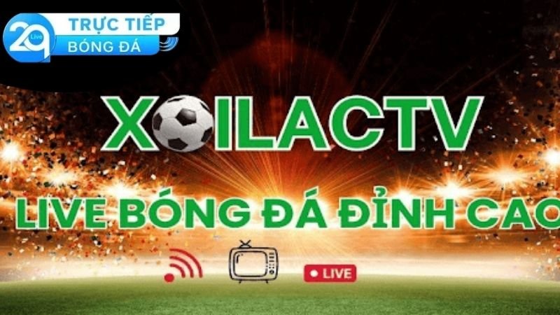 Chất lượng dịch vụ và trải nghiệm người dùng